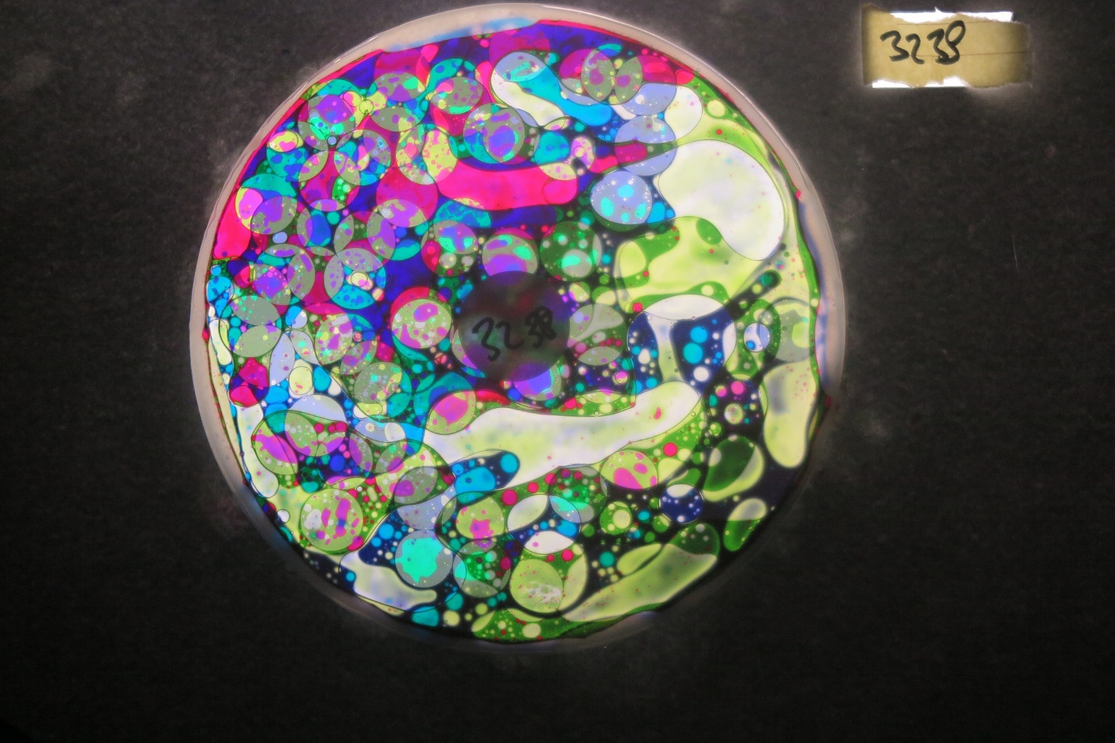 BV3238 bubble vision oil wheel